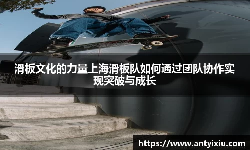 3377体育官网