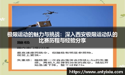 3377体育官网下载