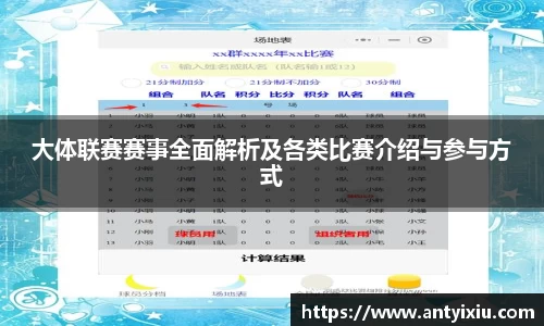 大体联赛赛事全面解析及各类比赛介绍与参与方式