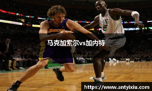 马克加索尔vs加内特