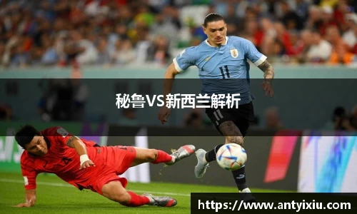 秘鲁VS新西兰解析