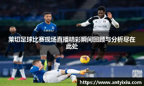 3377体育官网下载